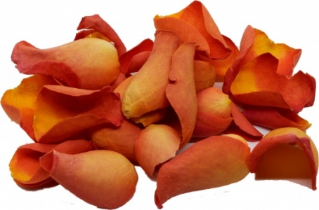 Dark Orange Rose Petals